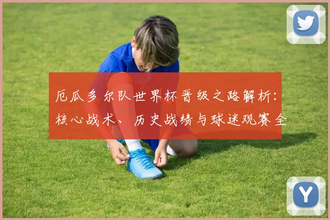 厄瓜多尔队世界杯晋级之路解析:核心战术、历史战绩与球迷观赛全指南