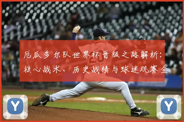 厄瓜多尔队世界杯晋级之路解析:核心战术、历史战绩与球迷观赛全指南